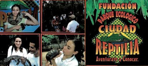 imagen de referencia reptilia